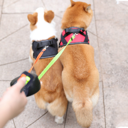 DogSync™️ – Perfekt kontroll över två hundar samtidigt